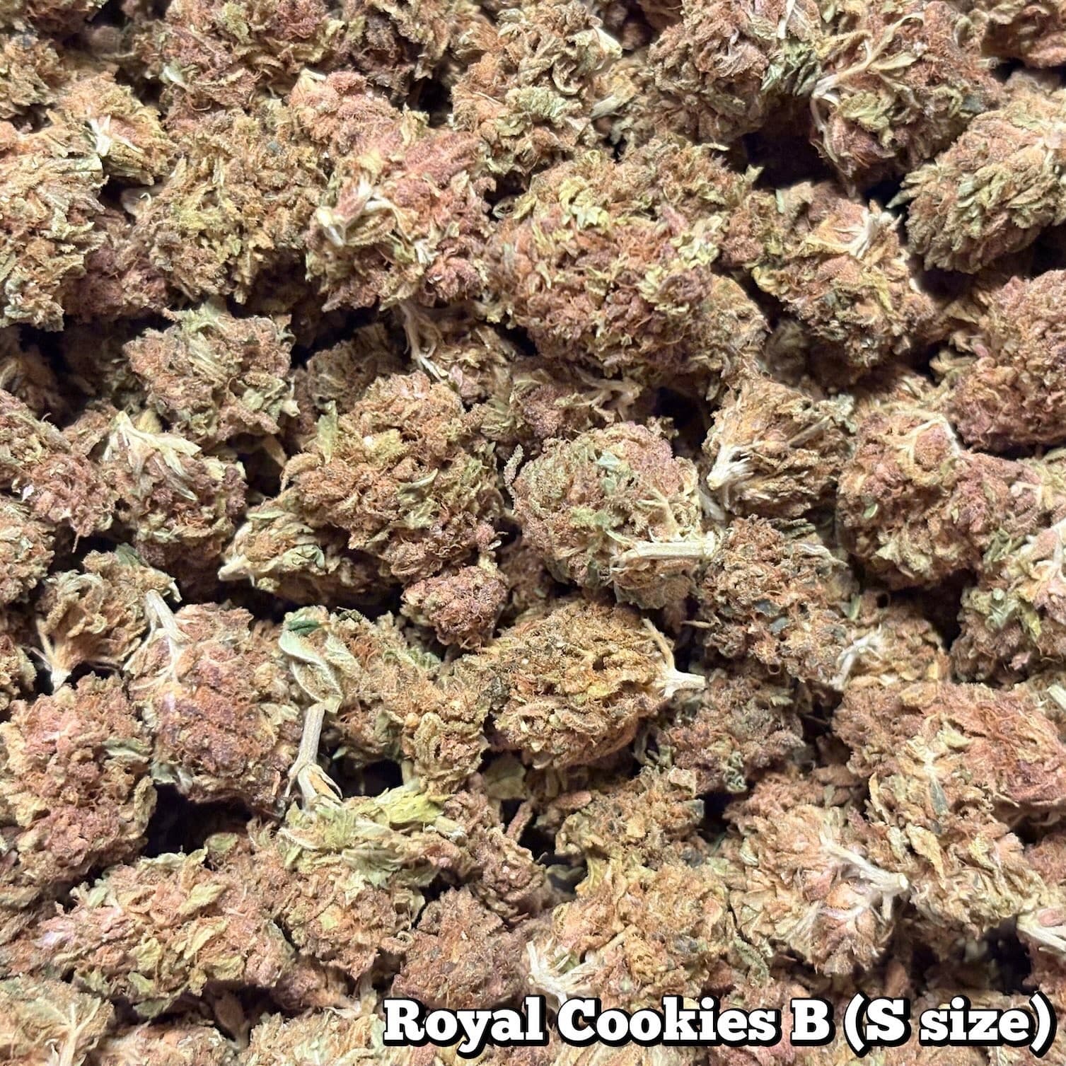 🥦Royal Cookies B（Sサイズ）