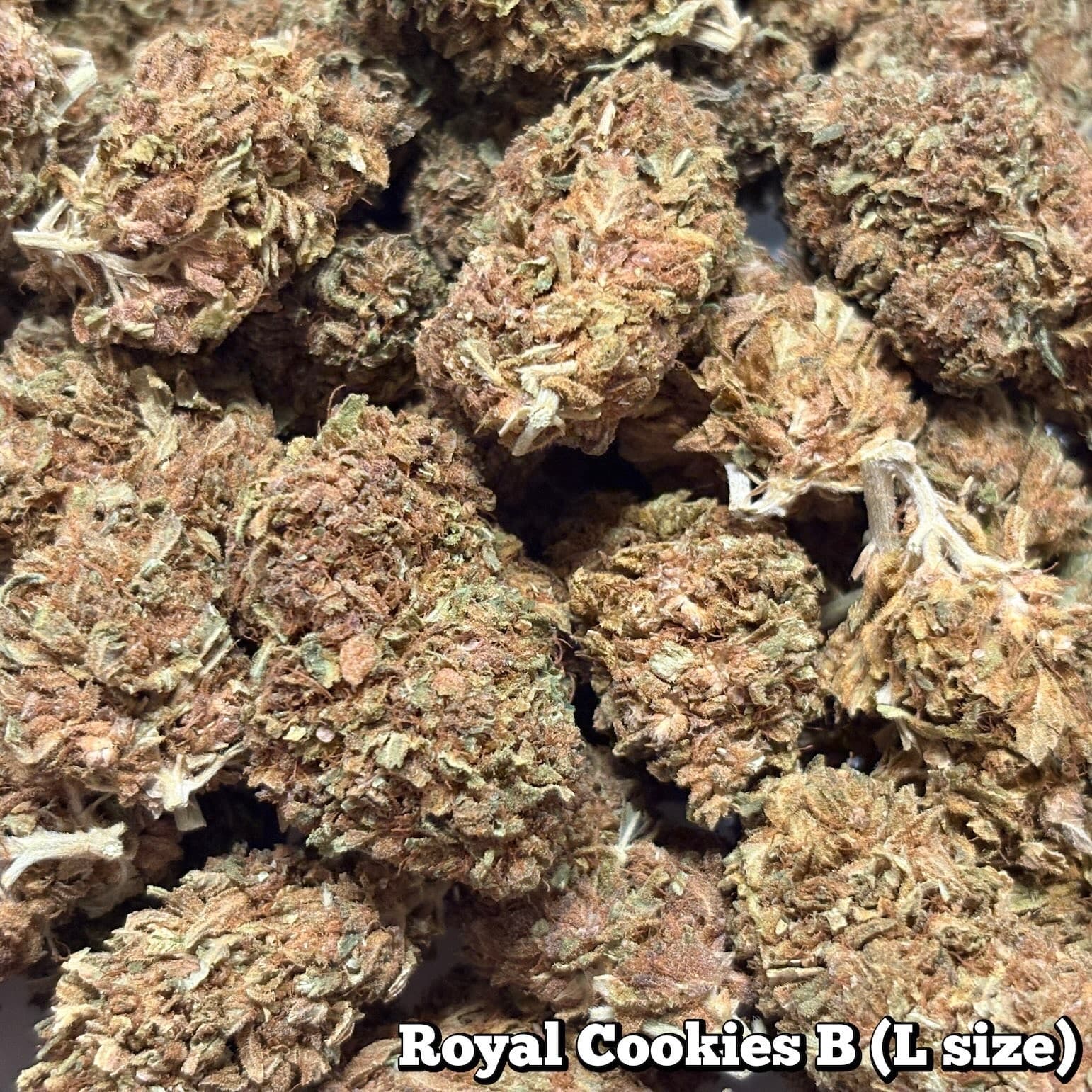 残23g…🥦Royal Cookies B（Lサイズ）