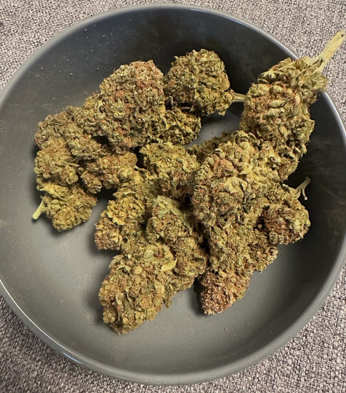 Bruce Banner 10g
