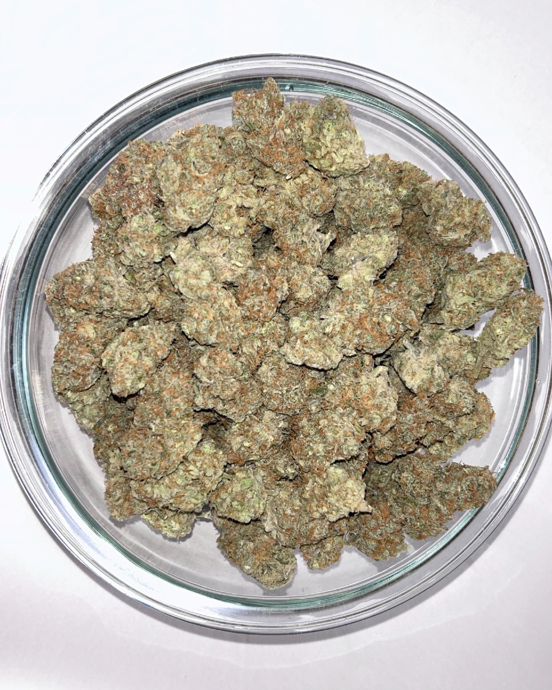Blackberry Moonrocks(有機)