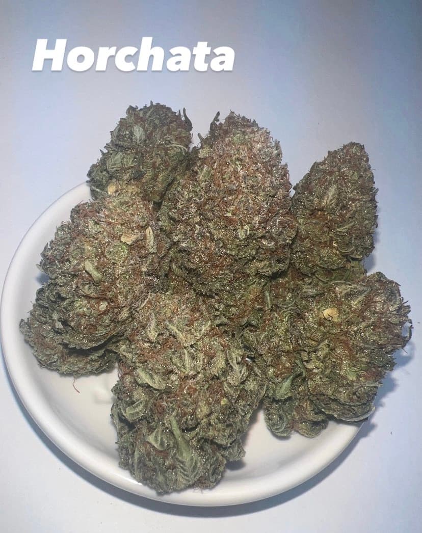 Horchata