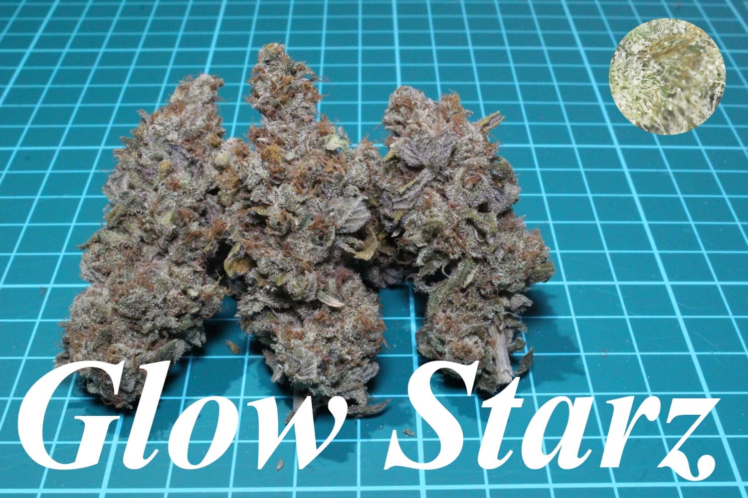 Glow Starz