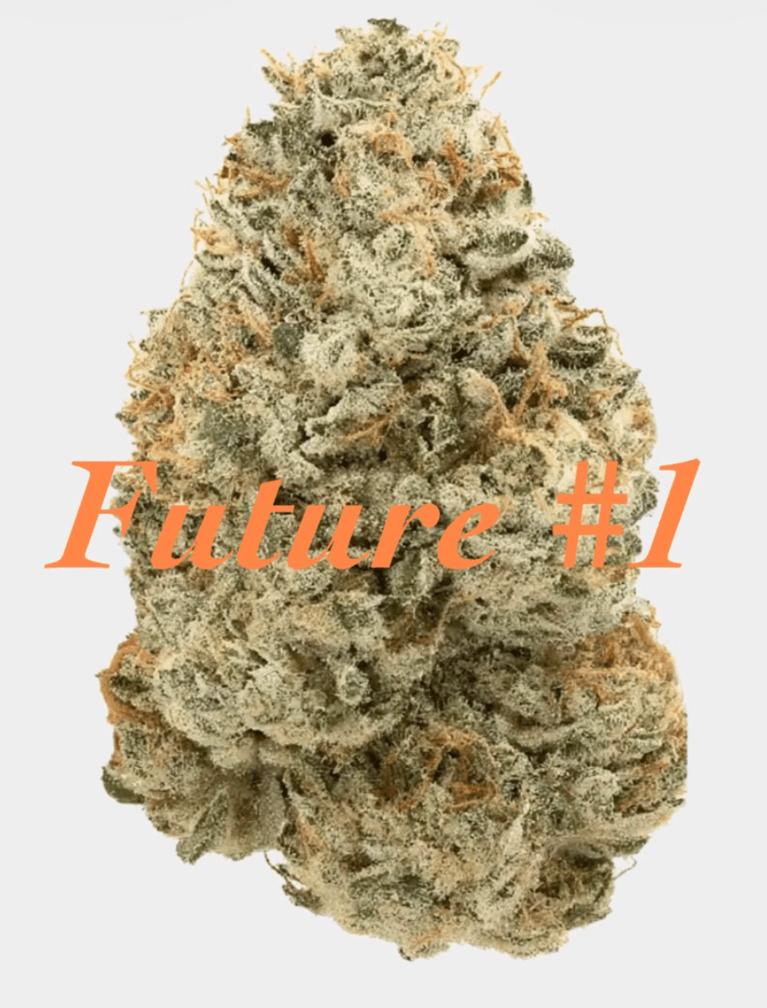 Future #1 まかない小バッズ 1セット10gパック 【新規農家 A-Farm】