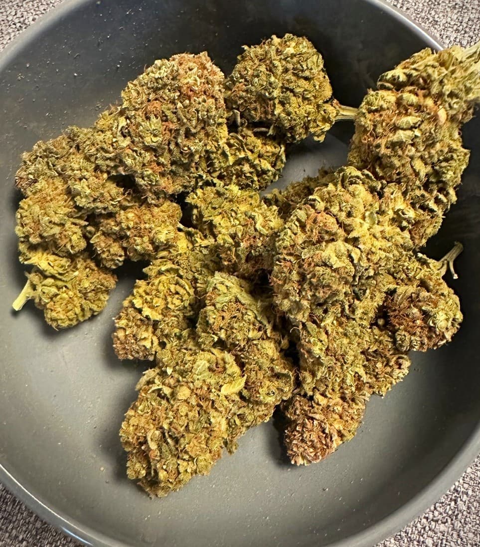 Bruce Banner Top Budsの10gセット