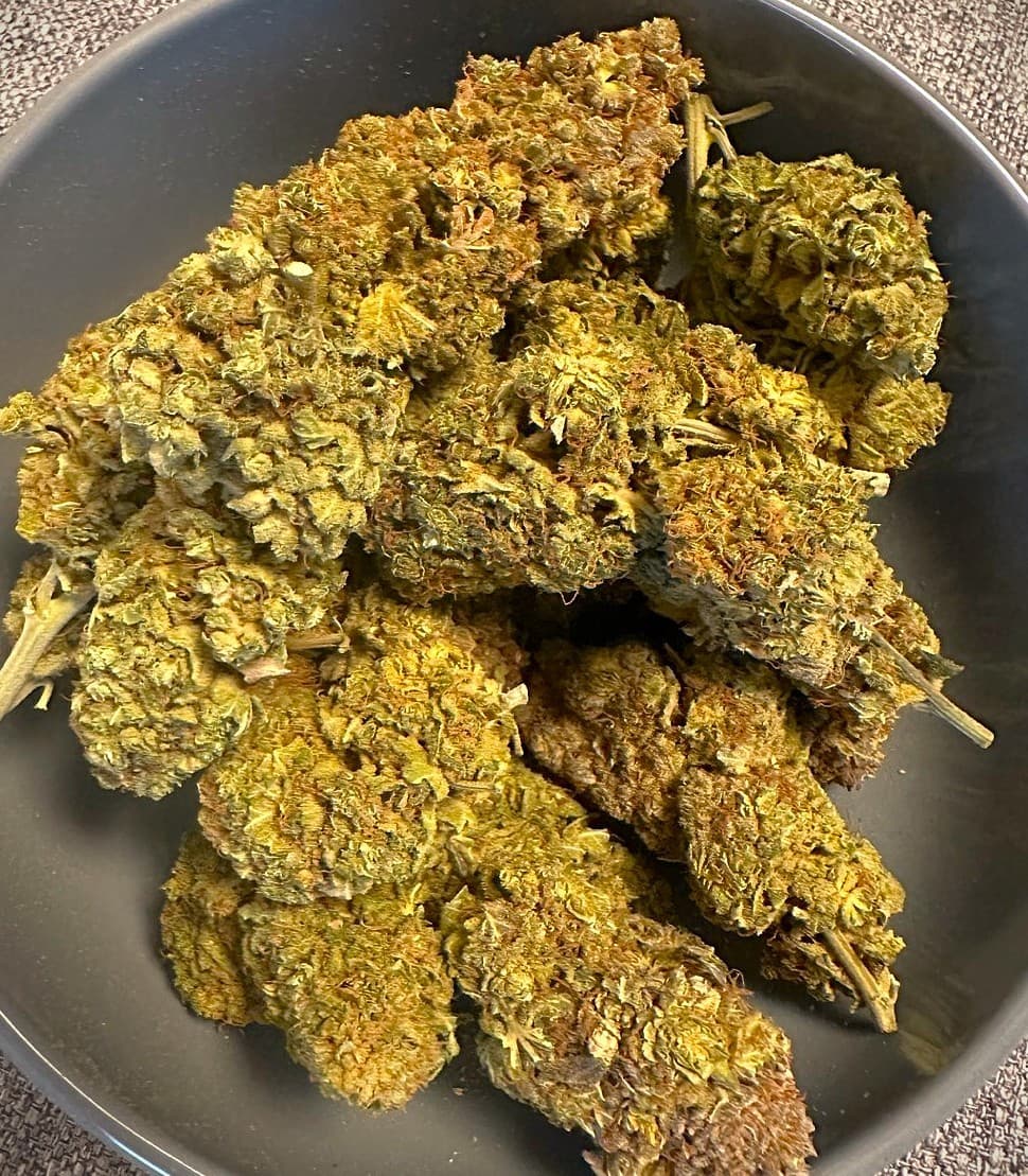White Widow Top Budsの10gセット